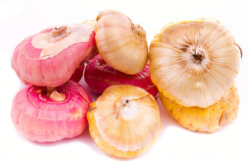 mix of gladiolus bulbs on a white background