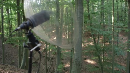 Recording sounds of forest
