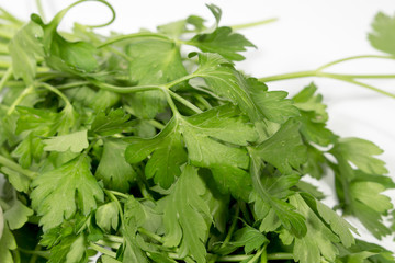 Leaves of fresh parsley, on white