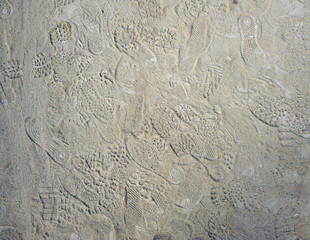 Foot prints