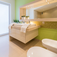 Green painted wall in bathroom