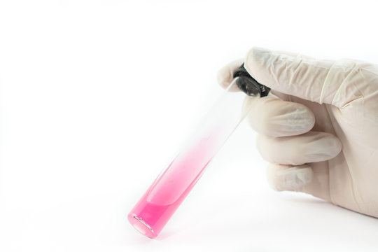 Hand in glove holding laboratory test tubes infected with different bacteria isolated on white background