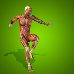Conceptual 3D human man health anatomy