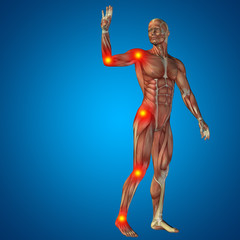 3D human man pain anatomy on blue background