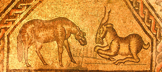 golden roman mosaic of a confrontation between a sheep and goat