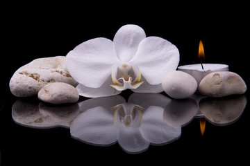 Spa composition with orchid flower and sea stones