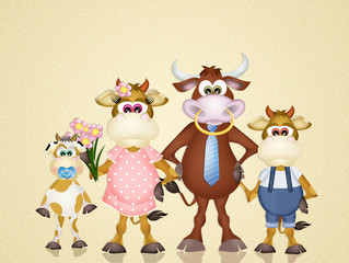 family cows
