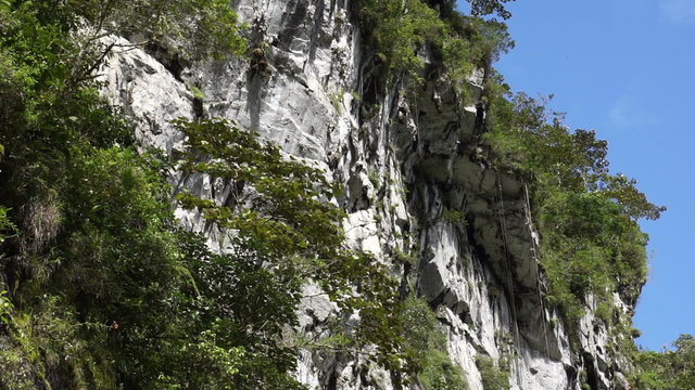 Camera follows the peak of a mountain that makes up massive limestone deposit which is interesting to the mining or mining exploration industry because of its use in cement and other products.