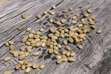 Kaffeebohnen auf Holz am Trocken