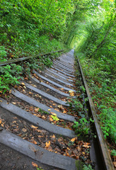 Railway road in forest