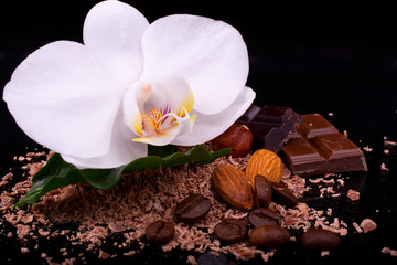 Milk and dark chocolate with white orchid flower, whole coffee b