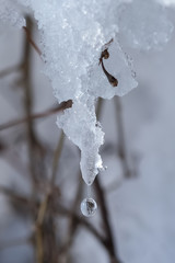 Eiszapfen mit Wassertropfen