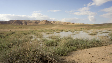 Rainy Season Judean Desert