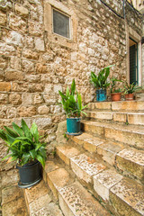 Fototapeta na wymiar Plants and flowers in narrow street in the Old Town in Dubrovnik, Croatia, mediterranean ambient 