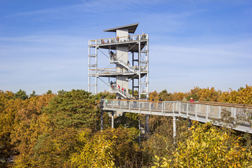 Canopy Walkway, Beelitz, Brandenburg