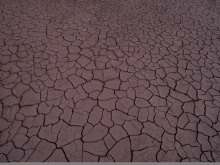 Dry Cracked ground