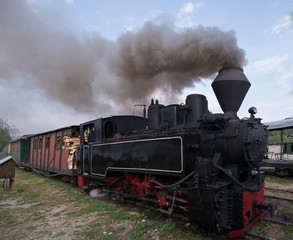 Fototapeta na wymiar functional wood-burning locomotive