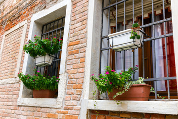Fototapeta na wymiar Decorated window with bouquet of flowers. Colorful houses island and landmark of Veneto region, Italy