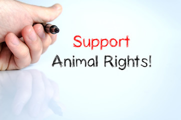 Support animal rights text concept