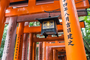 path of torii in the "Fushimi Inari-taisha" shrine in Kyoto, Jap