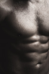 Muscular male wet torso