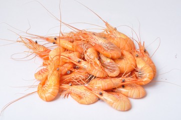 prawn Shrimp