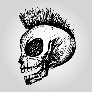Skull. Hand drawing