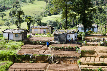 Bopaththalawa - Sri Lanka