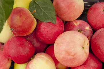 basket with apples