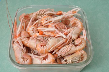 Close-up of three scampi