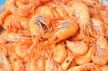 prawn Shrimp