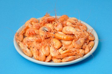 prawn Shrimp