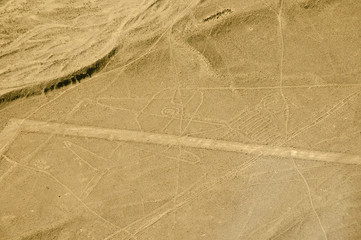 The Whale - Nasca Lines - Peru