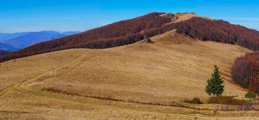 Fototapeta na wymiar Autumn landscape in the mountains. 