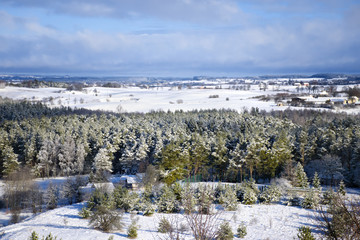 Winter panorama. Frozen trees, houses and meadows.