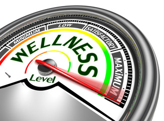 wellness conceptual meter