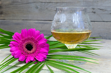 Glass of cognac with pink gerbera