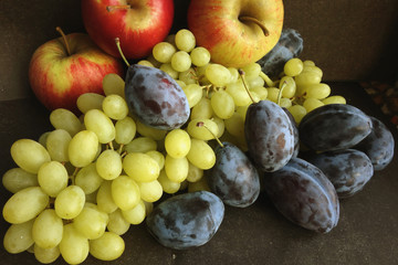 Still life of autumn fruits/  Red apples, yellow grapes and blue  plums - is not only beautiful, but also useful