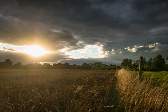 Nach dem Gewitter