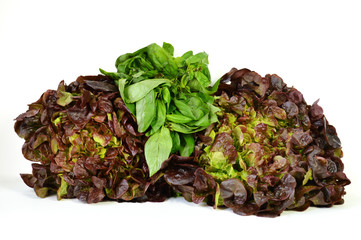 Salads and basil leaves.