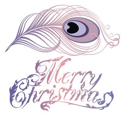 Vector isolated peacock feather.Merry Christmas