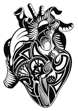 Human heart. Vector heart illustration tattoo