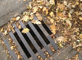 Herbstlaub verstopft die Gullis