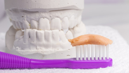 toothbrush with paste and dental gypsum