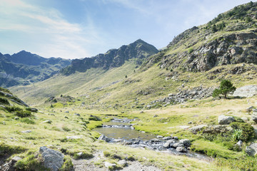 Fototapeta na wymiar Spring mountain landscape