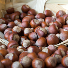 hazelnuts