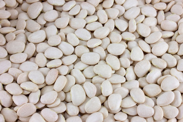 Natural white beans background texture