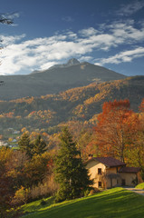 Naklejka premium contrasto di colori nel paesaggio autunnale