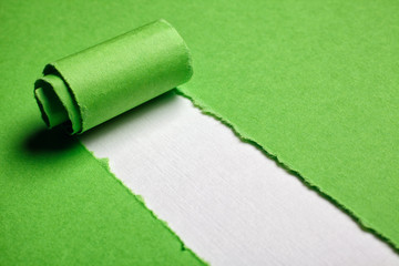 green Torn paper with white background