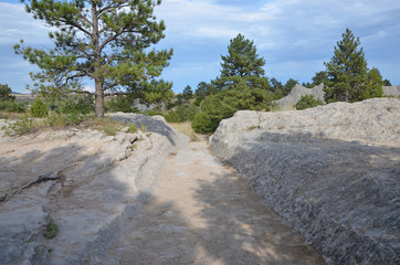Oregon Trail Ruts